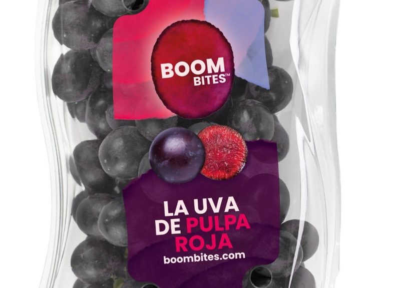 PACK BOOMBITES (1)
