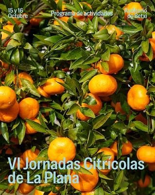 jornada cítricola - la Unió