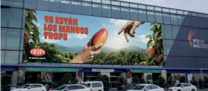 mangotrosp2026
