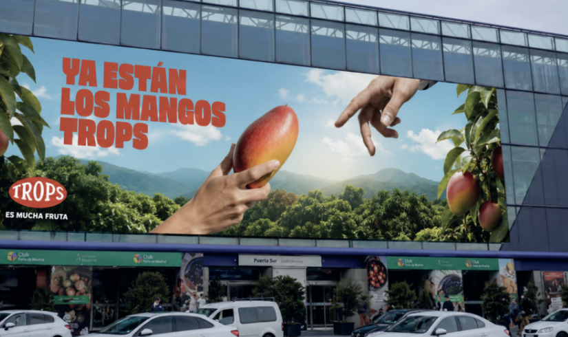 mangotrosp2026