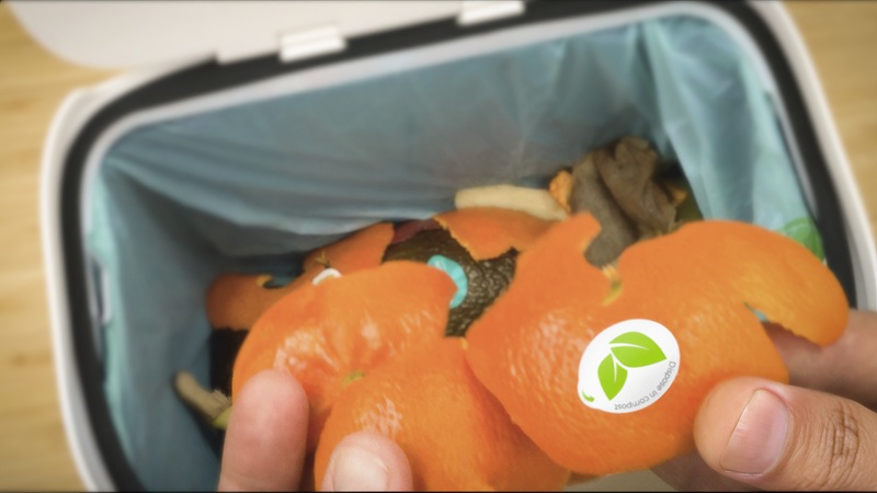 sinclairDispose in compost