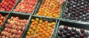 Fruta de hueso