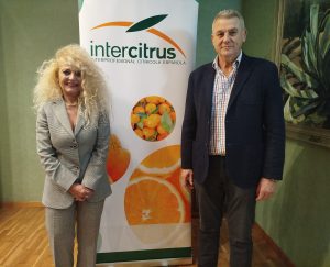 Intercitrus Sanfeliu Catala