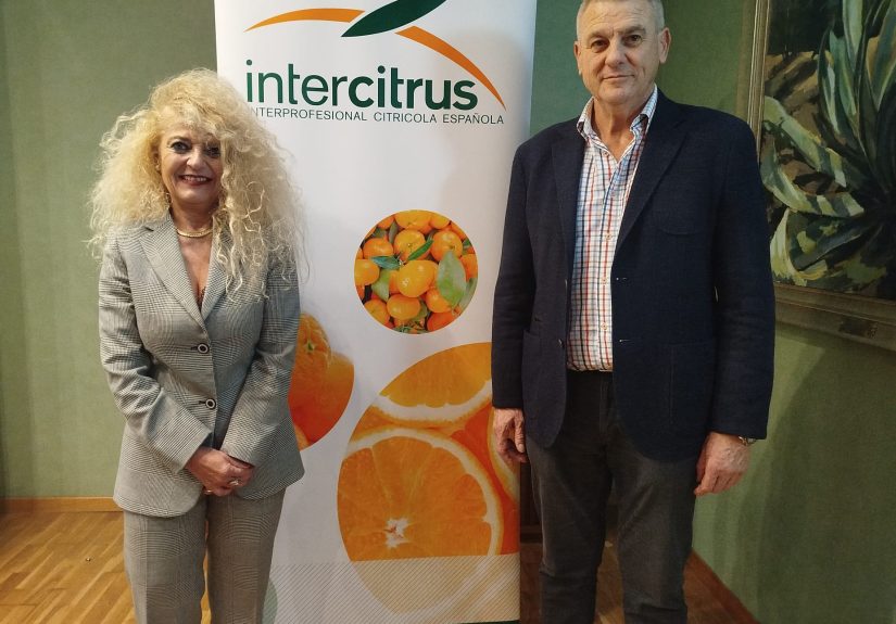 Intercitrus Sanfeliu Catala