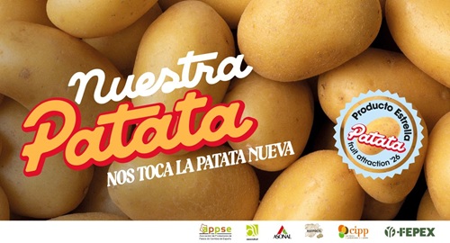 Patata_Nueva-02