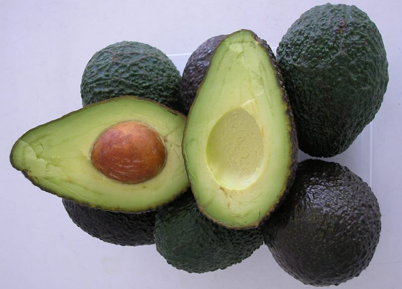 aguacate andalucia junta