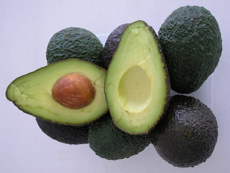 aguacate andalucia junta