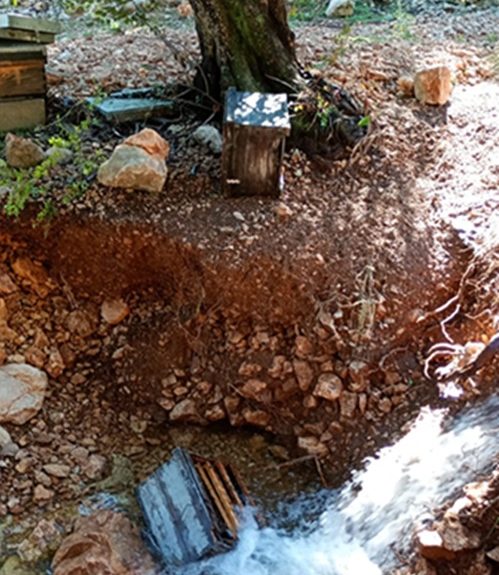 colmenas_arrastradas_por_el_agua