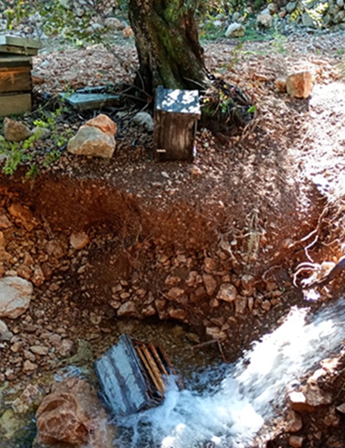 colmenas_arrastradas_por_el_agua