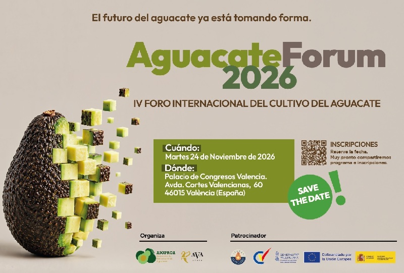 foro aguacate