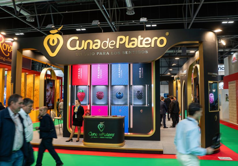 stand Cuna de Platero FA26